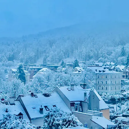 Artflora Kv Premium Karlovy Vary