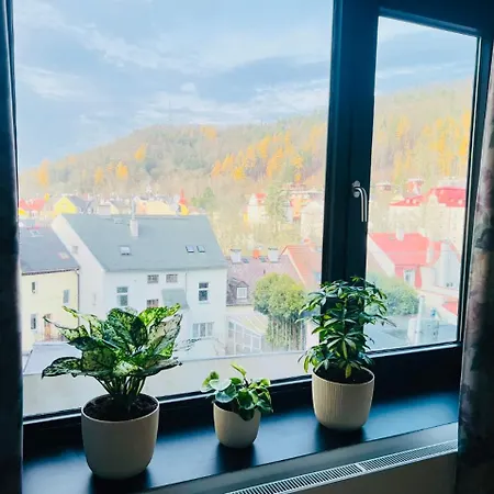 Artflora Kv Premium *