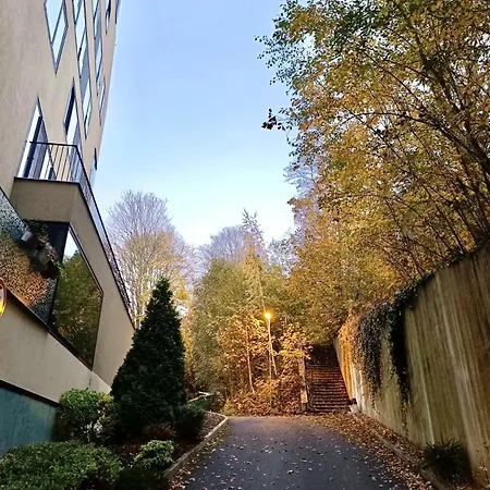Artflora Kv Premium * Karlovy Vary