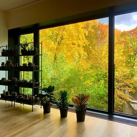Artflora Kv Premium *