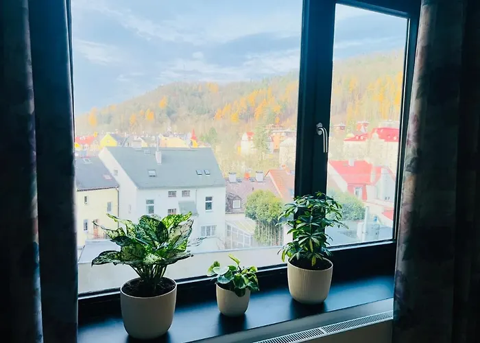 Artflora Kv Premium *